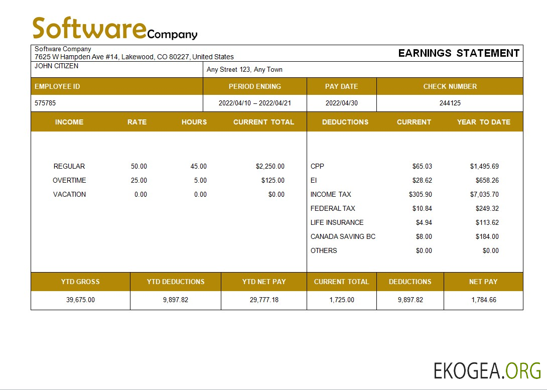 modèle de bulletin de paie d'une entreprise de logiciels aux formats Word et PDF